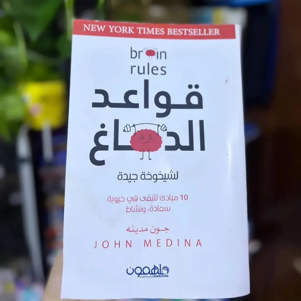 قواعد الدماغ